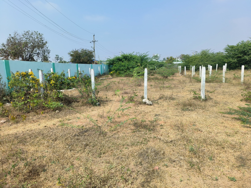  501 Sq. Yards Residential Plot for Sale in Chandur, Nalgonda