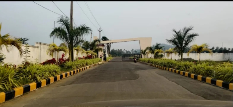 Alamanda, Vizianagaram photo 2