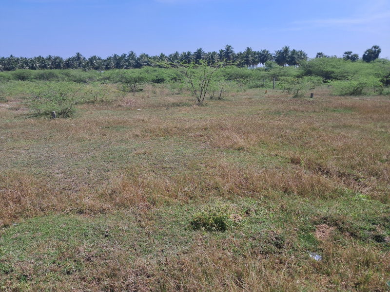  3960 Sq.ft. Residential Plot for Sale in Senur, Vellore