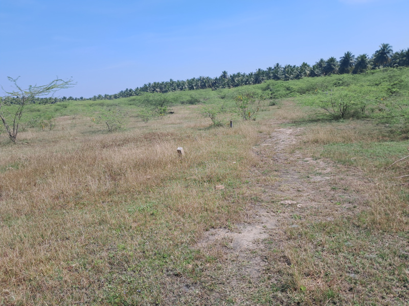  3960 Sq.ft. Residential Plot for Sale in Senur, Vellore