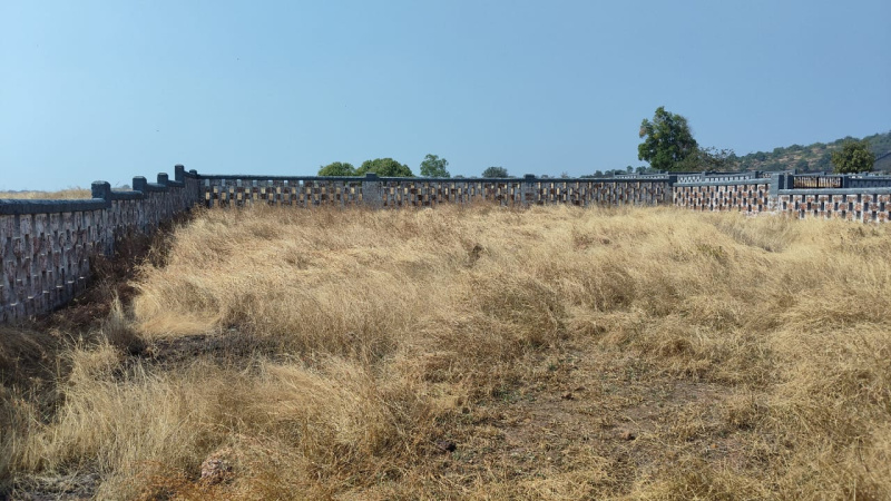 Rajapur, Ratnagiri photo 3