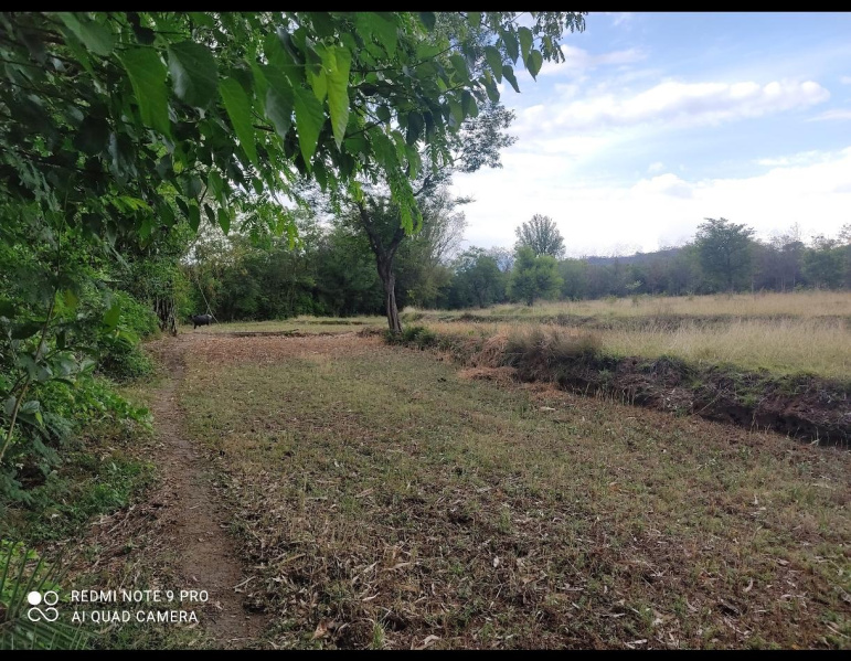  600 Marla Residential Plot for Sale in Dera Gopipur, Kangra