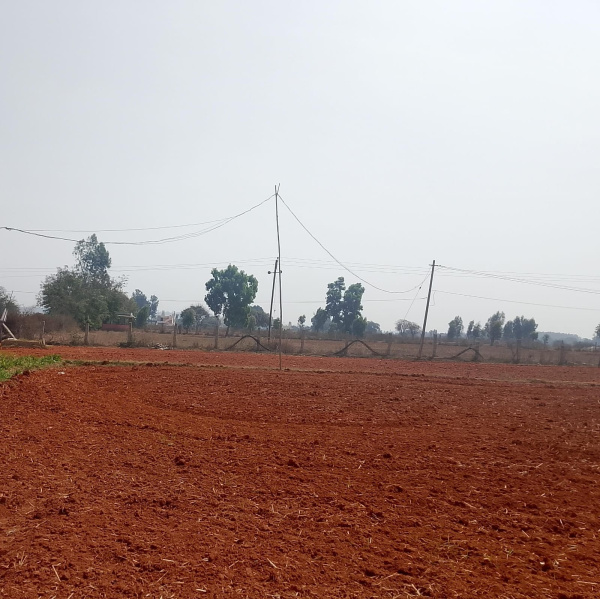  1500 Sq.ft. Residential Plot for Sale in Devanahalli, Bangalore