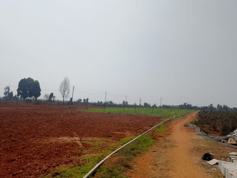  4000 Sq.ft. Residential Plot for Sale in Devanahalli, Bangalore
