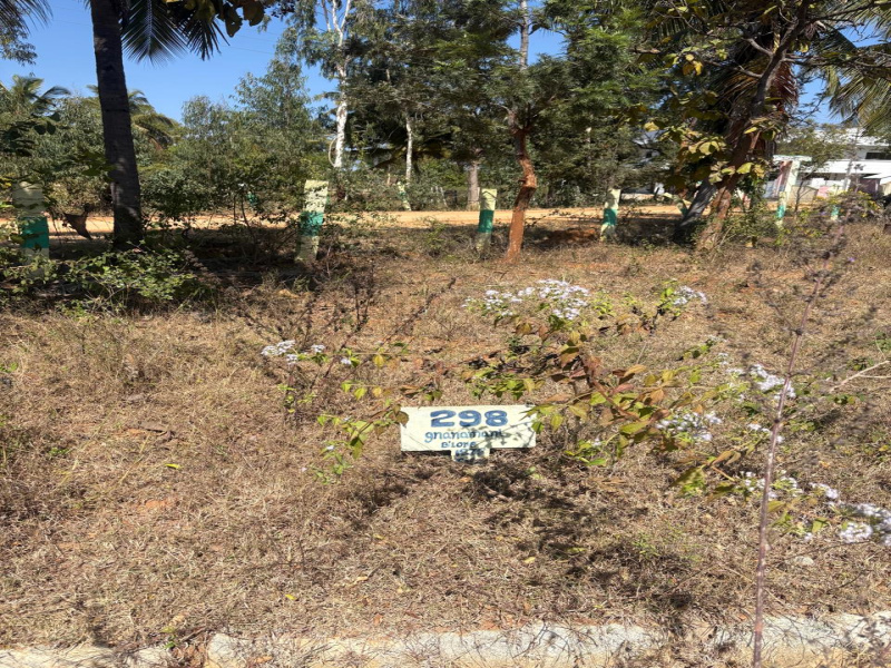  10197 Sq.ft. Commercial Land for Sale in Bagepalli, Bangalore