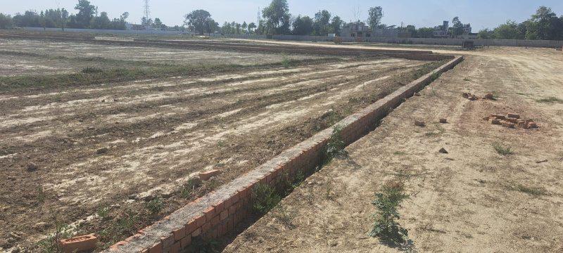  1500 Sq.ft. Residential Plot for Sale in Gosainganj, Lucknow