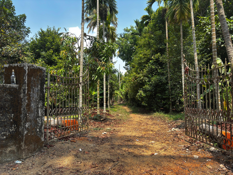 Angamaly, Ernakulam photo 3