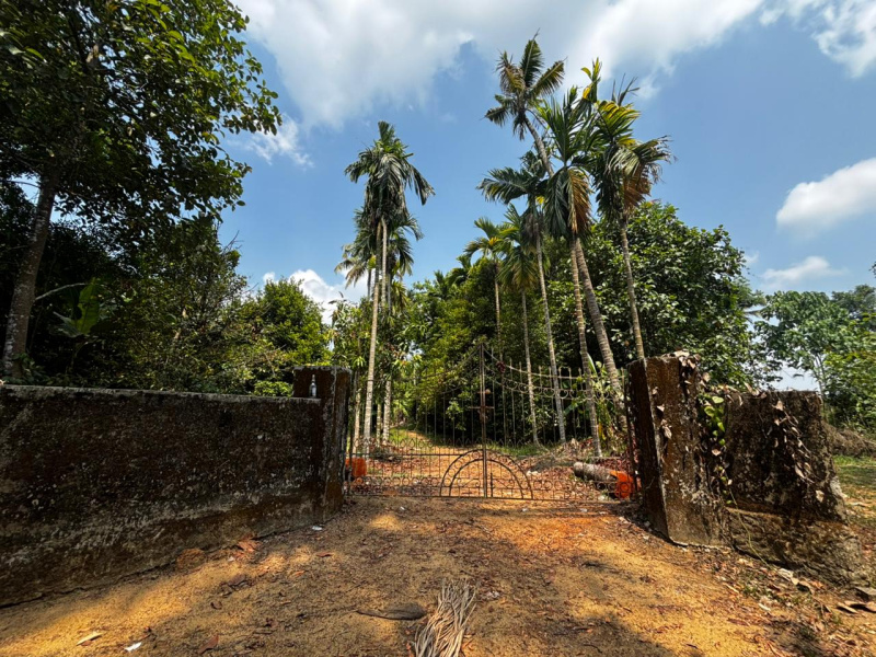 Angamaly, Ernakulam photo 4