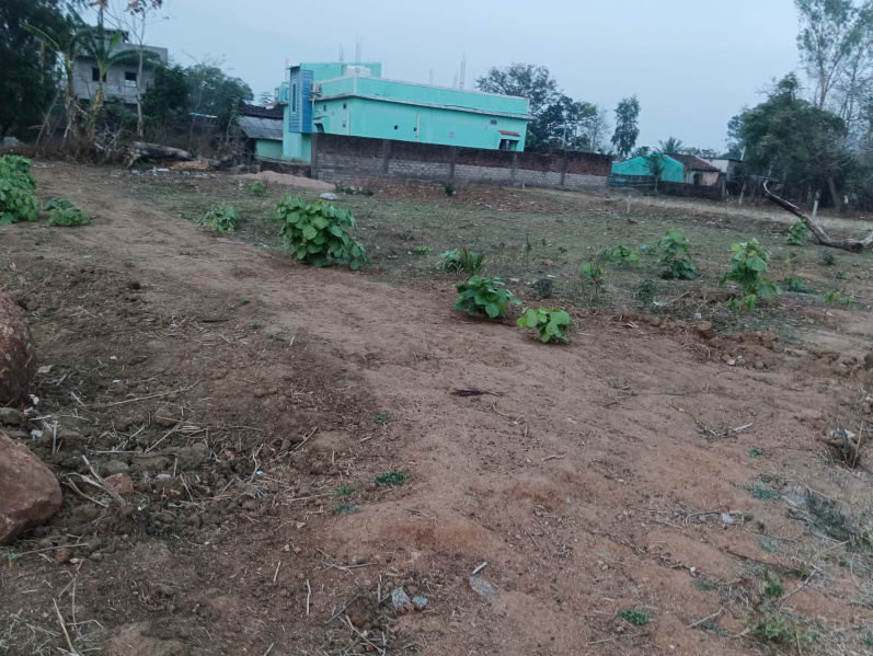  23 Dismil Residential Plot for Sale in Mukhiguda, Kalahandi