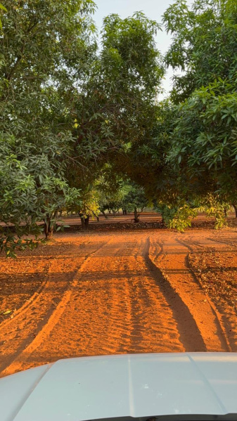  4368 Sq.ft. Residential Plot for Sale in Renigunta, Chittoor