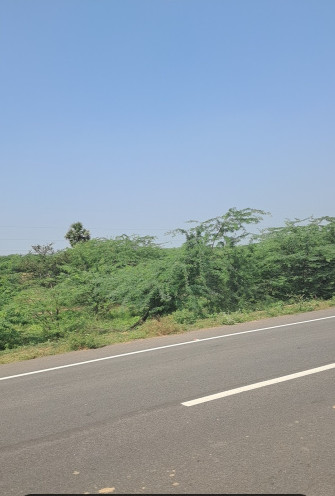  1 Acre Agricultural/Farm Land for Sale in Ilayangudi, Sivaganga