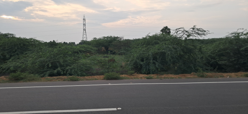  1 Acre Agricultural/Farm Land for Sale in Ilayangudi, Sivaganga