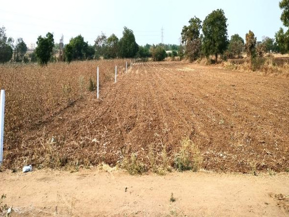  1 Acre Residential Plot for Sale in Chevella, Rangareddy