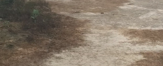  230 Sq. Yards Residential Plot for Sale in Baraula Bypass, Aligarh