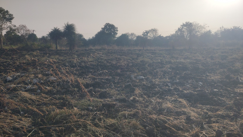  2 Acre Agricultural/Farm Land for Sale in Munpalle, Medak