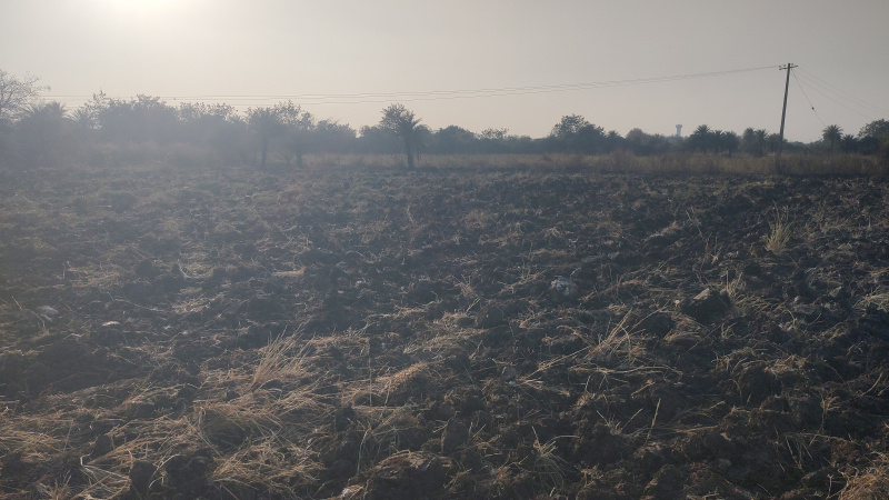  2 Acre Agricultural/Farm Land for Sale in Munpalle, Medak