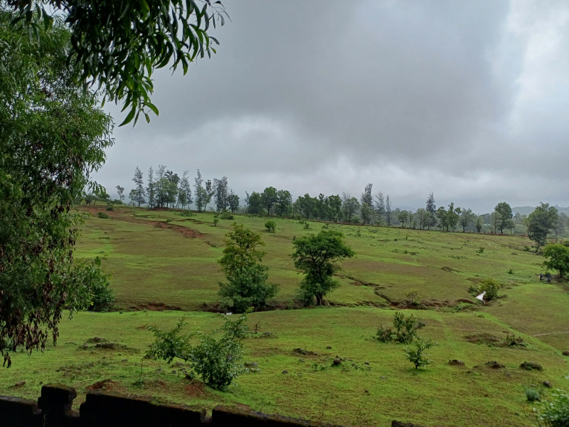  9 Acre Agricultural/Farm Land for Rent in Amba, Kolhapur