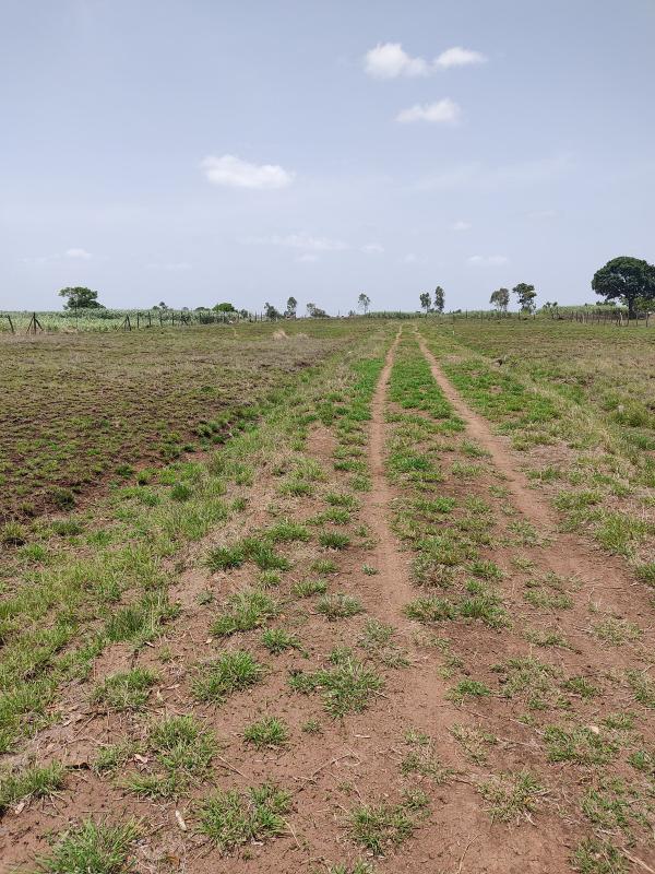  19700 Sq.ft. Residential Plot for Rent in Kaneri, Kolhapur