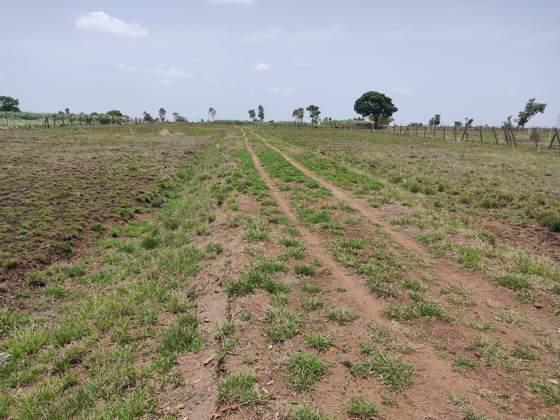  19700 Sq.ft. Residential Plot for Rent in Kaneri, Kolhapur