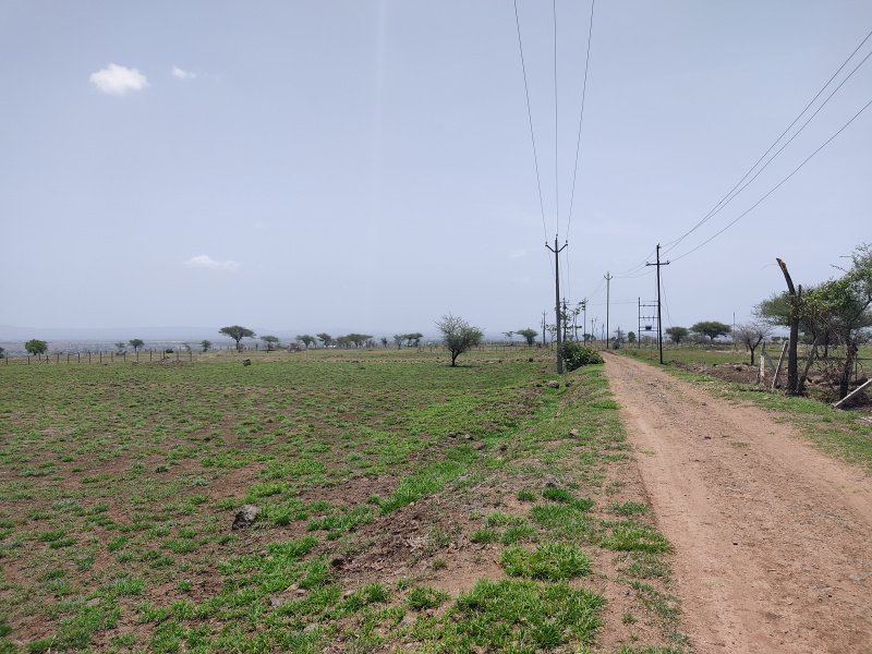  19700 Sq.ft. Residential Plot for Rent in Kaneri, Kolhapur