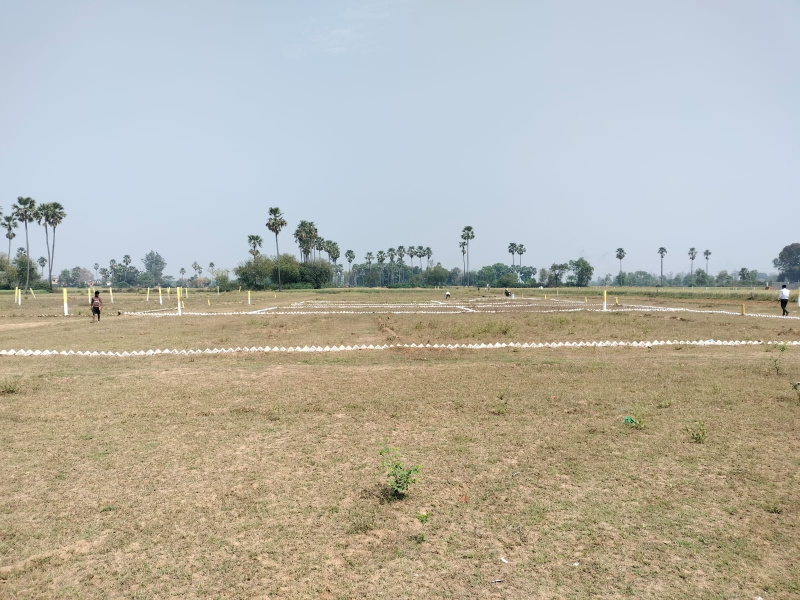  1200 Sq.ft. Commercial Land for Sale in Bihta, Patna