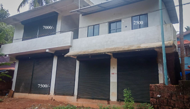 Feroke, Kozhikode photo 5