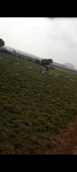  12 Guntha Residential Plot for Sale in Paikarapur, Bhubaneswar