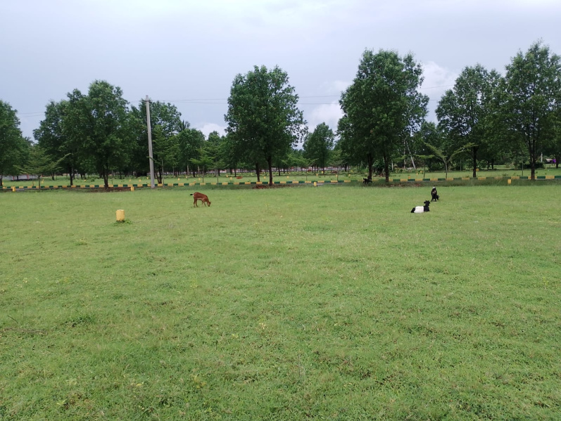  89 Sq. Yards Residential Plot for Sale in Bhogapuram, Vizianagaram