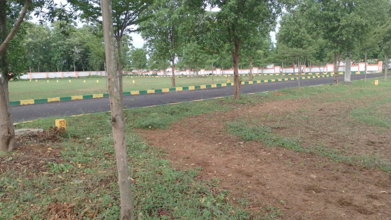  89 Sq. Yards Residential Plot for Sale in Bhogapuram, Vizianagaram