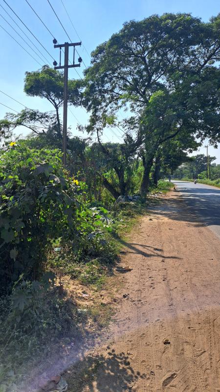  18000 Sq.ft. Commercial Land for Sale in Bamunara, Durgapur