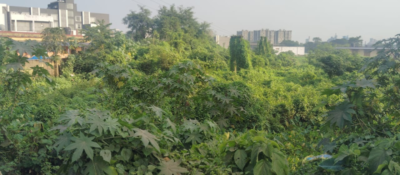  18000 Sq.ft. Commercial Land for Sale in Bamunara, Durgapur