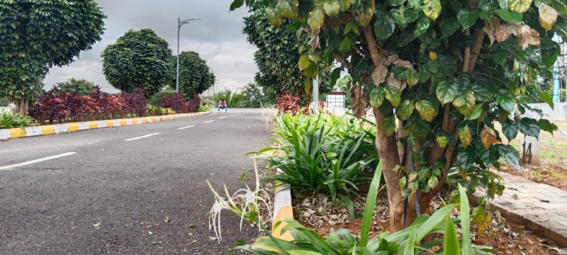  1200 Sq.ft. Residential Plot for Sale in Kaggalipura, Bangalore
