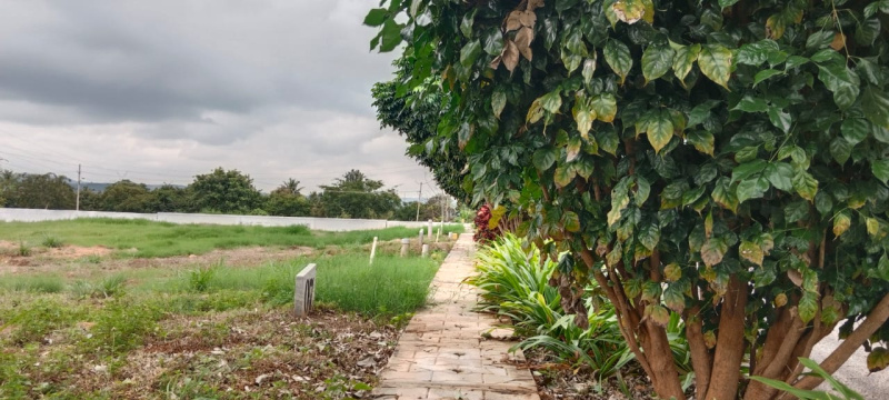  1200 Sq.ft. Residential Plot for Sale in Kaggalipura, Bangalore