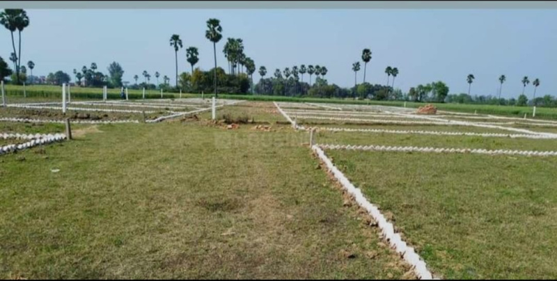  1200 Sq.ft. Residential Plot for Sale in Bihta, Patna
