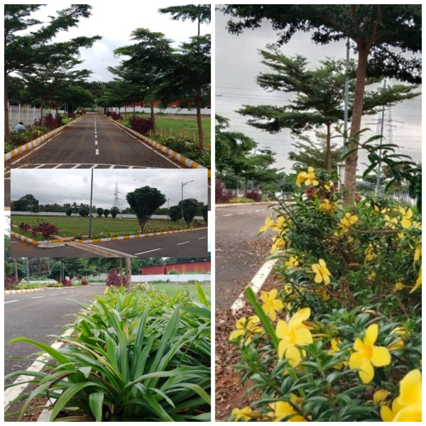  1200 Sq.ft. Residential Plot for Sale in Kaggalipura, Bangalore