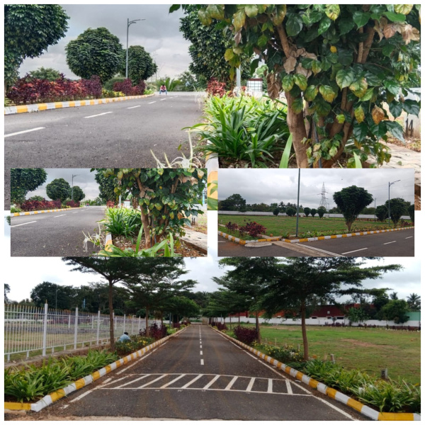  1200 Sq.ft. Residential Plot for Sale in Kaggalipura, Bangalore