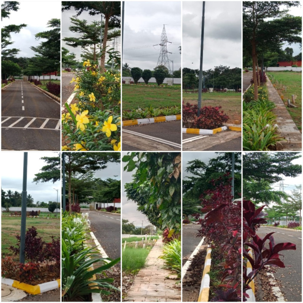  1200 Sq.ft. Residential Plot for Sale in Kaggalipura, Bangalore