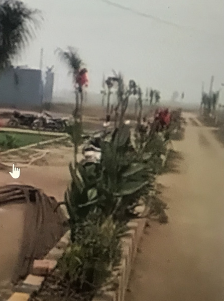 Delhi Road, Roorkee photo 4
