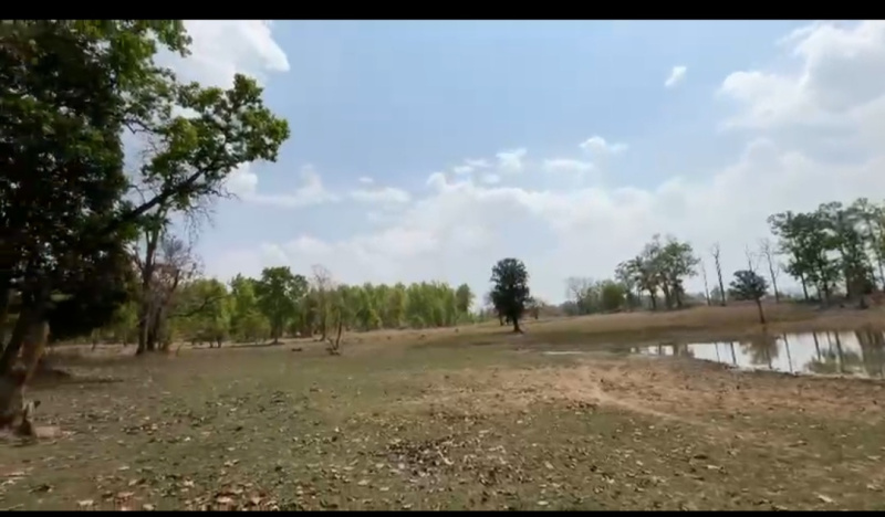  30 Acre Agricultural/Farm Land for Sale in Baihar, Balaghat