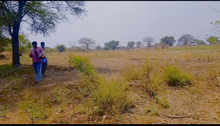 10 BHK 51 Guntha Farm House for Sale in Mominpet Mandal, Vikarabad