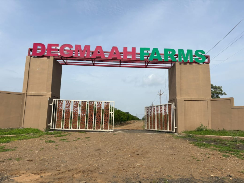 1 BHK 1000 Sq. Meter Farm House for Sale in Hingna, Nagpur