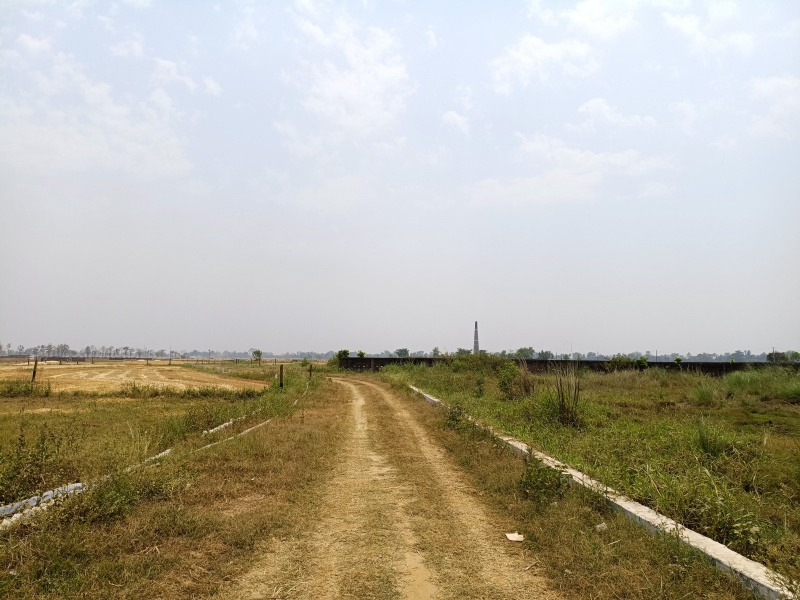  1200 Sq.ft. Residential Plot for Sale in Rajgir, Nalanda
