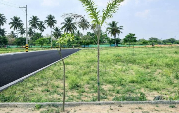  1200 Sq.ft. Residential Plot for Sale in Bangarapet, Kolar