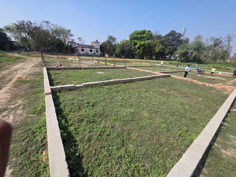  1000 Sq.ft. Commercial Land for Sale in Chauri Chaura, Gorakhpur