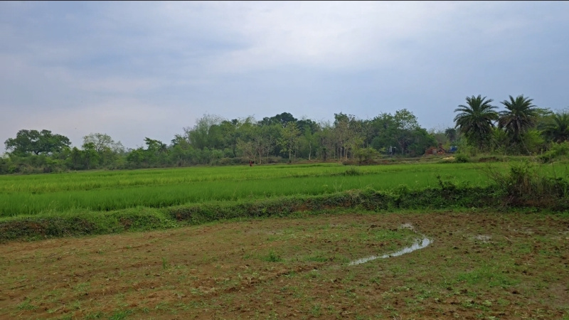  20 Bigha Guest House for Sale in Taldangra, Bankura