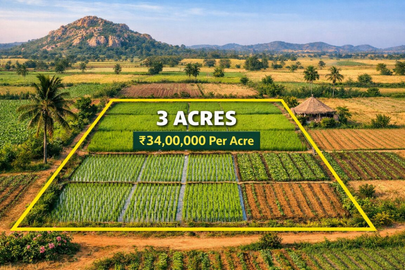  3 Acre Agricultural/Farm Land for Sale in Katangur, Nalgonda