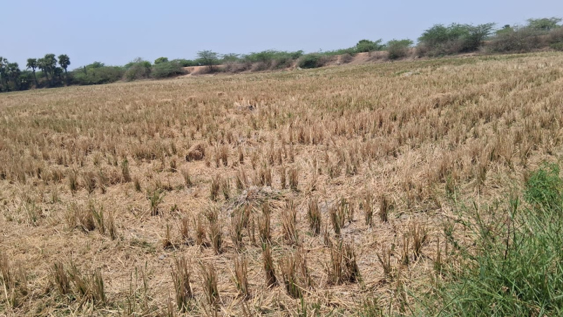 Katangur, Nalgonda photo 3