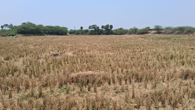 Katangur, Nalgonda photo 4