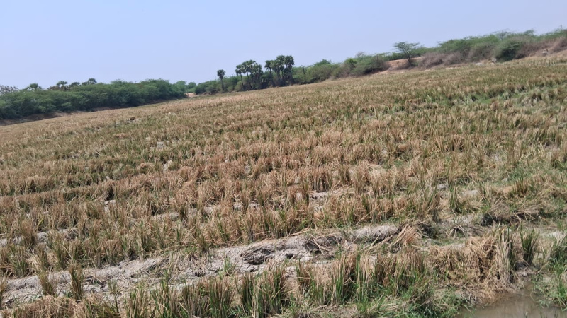 Katangur, Nalgonda photo 5