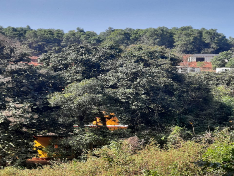  2 Acre Residential Plot for Sale in Mudbidri, Dakshin Kannad